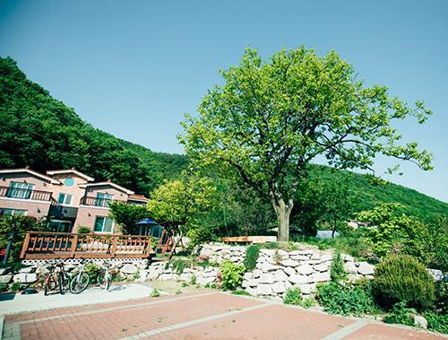Utopia Pension Gyeongju Ngoại thất bức ảnh